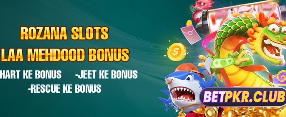 zs555.com پر خوش آمدید